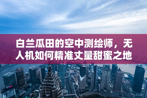 白兰瓜田的空中测绘师，无人机如何精准丈量甜蜜之地？