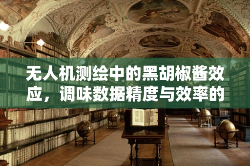 无人机测绘中的黑胡椒酱效应，调味数据精度与效率的完美平衡