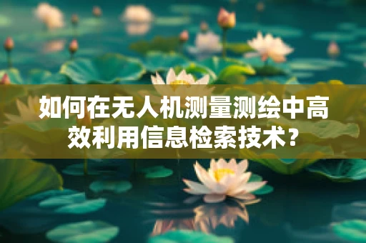 如何在无人机测量测绘中高效利用信息检索技术？