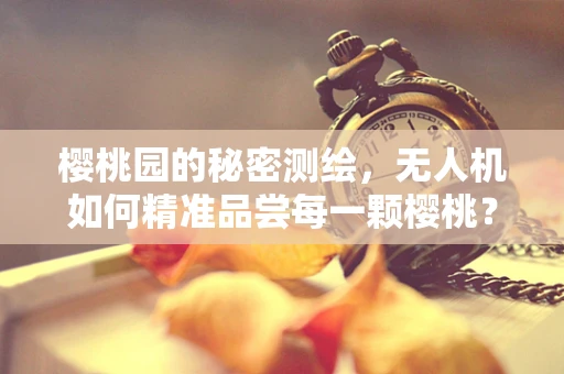樱桃园的秘密测绘，无人机如何精准品尝每一颗樱桃？