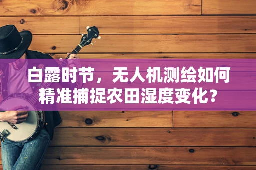 白露时节，无人机测绘如何精准捕捉农田湿度变化？