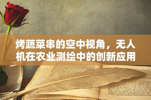 烤蔬菜串的空中视角，无人机在农业测绘中的创新应用？