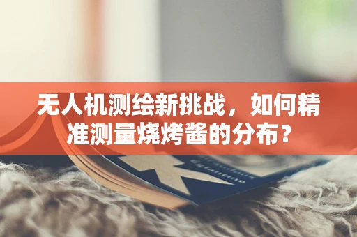 无人机测绘新挑战，如何精准测量烧烤酱的分布？