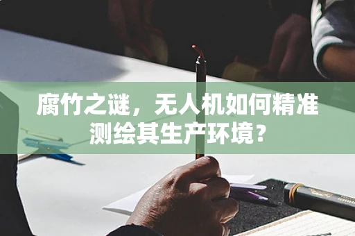腐竹之谜，无人机如何精准测绘其生产环境？