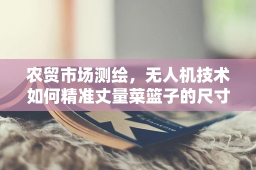 农贸市场测绘，无人机技术如何精准丈量菜篮子的尺寸？