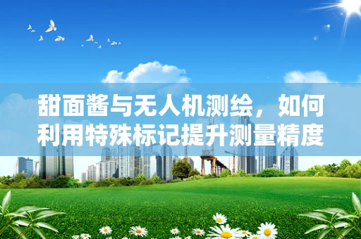 甜面酱与无人机测绘，如何利用特殊标记提升测量精度？