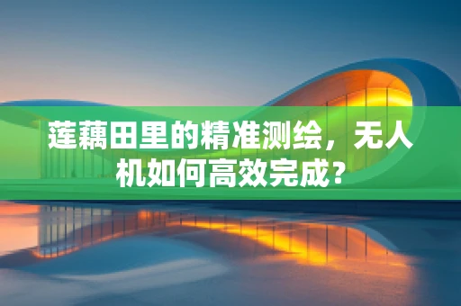 莲藕田里的精准测绘，无人机如何高效完成？