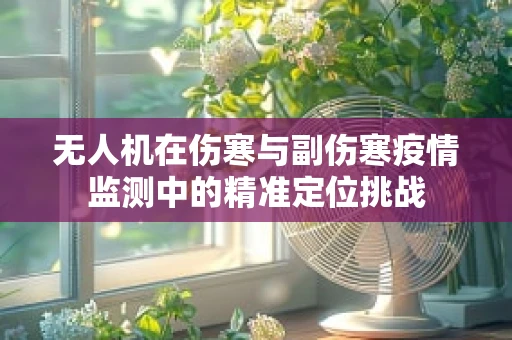无人机在伤寒与副伤寒疫情监测中的精准定位挑战