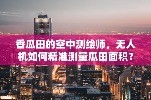 香瓜田的空中测绘师，无人机如何精准测量瓜田面积？