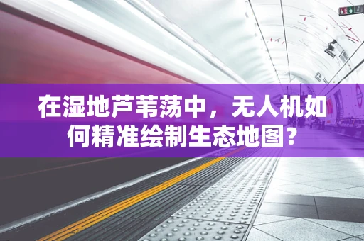 在湿地芦苇荡中，无人机如何精准绘制生态地图？