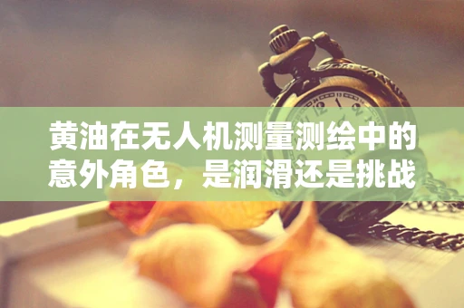 黄油在无人机测量测绘中的意外角色，是润滑还是挑战？