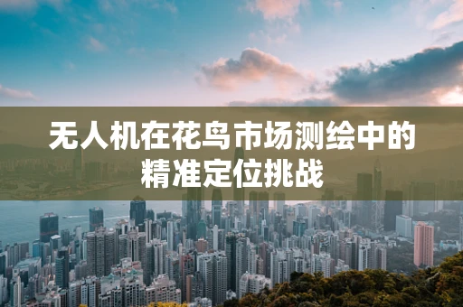 无人机在花鸟市场测绘中的精准定位挑战