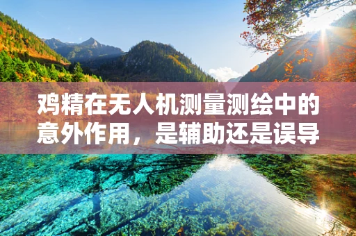 鸡精在无人机测量测绘中的意外作用，是辅助还是误导？