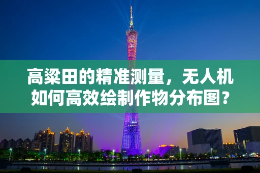 高粱田的精准测量，无人机如何高效绘制作物分布图？