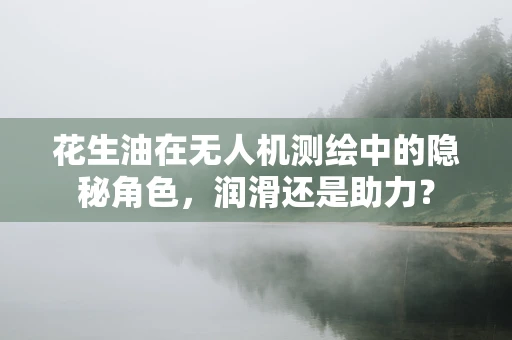 花生油在无人机测绘中的隐秘角色，润滑还是助力？