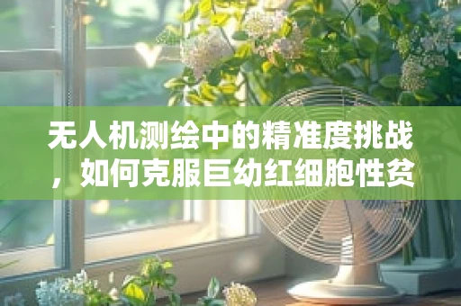 无人机测绘中的精准度挑战，如何克服巨幼红细胞性贫血对飞行员健康的影响？