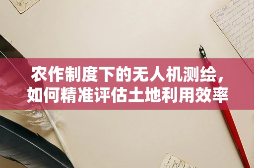 农作制度下的无人机测绘，如何精准评估土地利用效率？