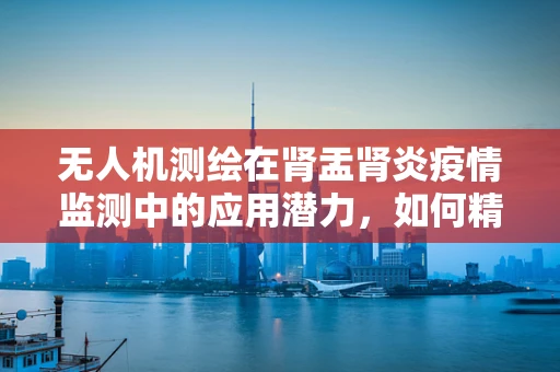 无人机测绘在肾盂肾炎疫情监测中的应用潜力，如何精准追踪与评估？