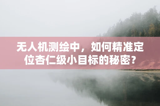 无人机测绘中，如何精准定位杏仁级小目标的秘密？