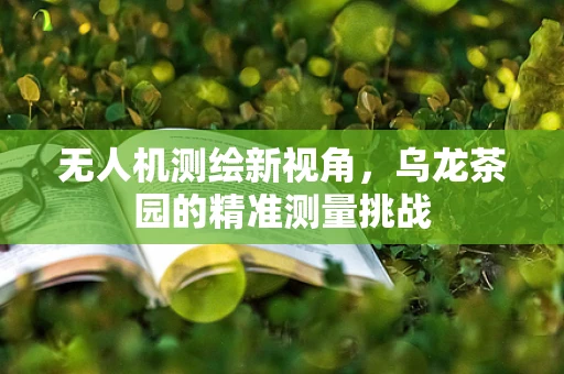 无人机测绘新视角，乌龙茶园的精准测量挑战