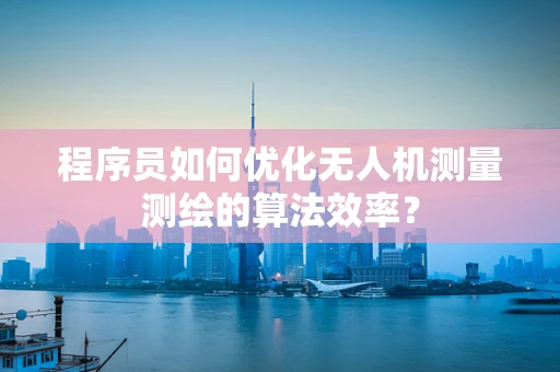 程序员如何优化无人机测量测绘的算法效率？