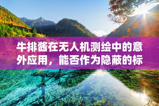 牛排酱在无人机测绘中的意外应用，能否作为隐蔽的标记物？