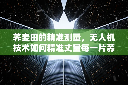 荞麦田的精准测量，无人机技术如何精准丈量每一片荞麦？