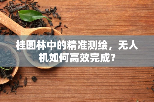 桂圆林中的精准测绘，无人机如何高效完成？