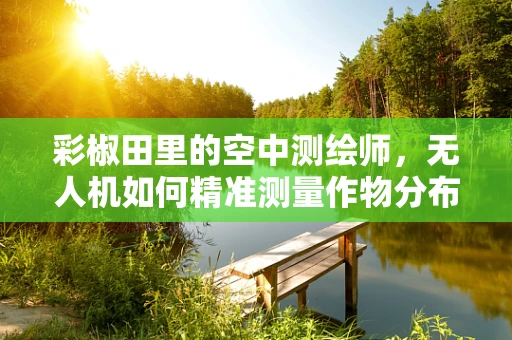 彩椒田里的空中测绘师，无人机如何精准测量作物分布？