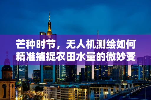 芒种时节，无人机测绘如何精准捕捉农田水量的微妙变化？