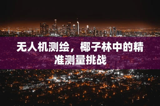 无人机测绘，椰子林中的精准测量挑战