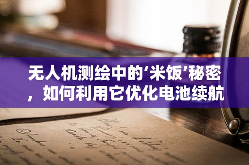 无人机测绘中的‘米饭’秘密，如何利用它优化电池续航？