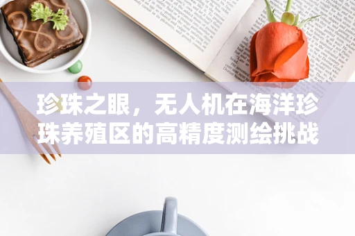 珍珠之眼，无人机在海洋珍珠养殖区的高精度测绘挑战