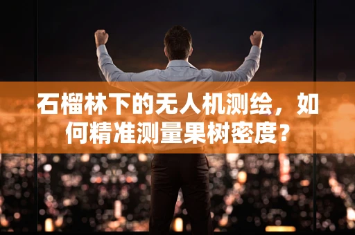 石榴林下的无人机测绘，如何精准测量果树密度？