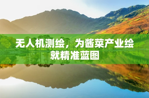 无人机测绘，为酱菜产业绘就精准蓝图
