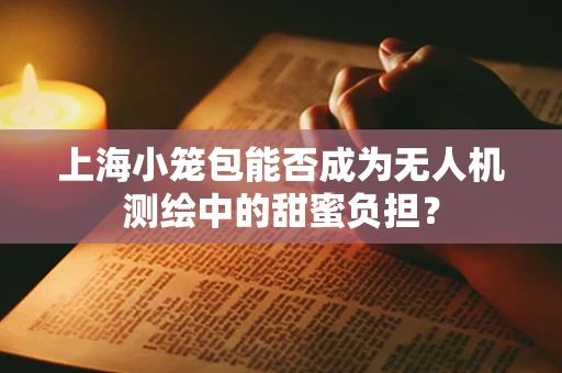 上海小笼包能否成为无人机测绘中的甜蜜负担？