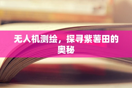 无人机测绘，探寻紫薯田的奥秘