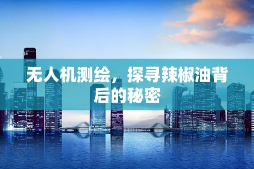 无人机测绘，探寻辣椒油背后的秘密