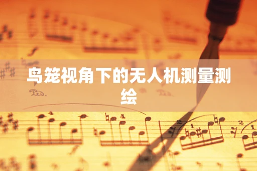 鸟笼视角下的无人机测量测绘