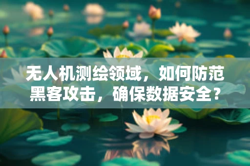 无人机测绘领域，如何防范黑客攻击，确保数据安全？