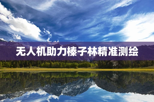 无人机助力榛子林精准测绘