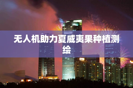 无人机助力夏威夷果种植测绘