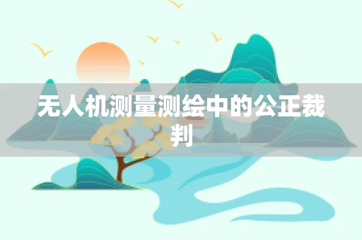 无人机测量测绘中的公正裁判