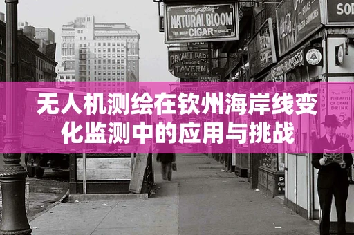 无人机测绘在钦州海岸线变化监测中的应用与挑战