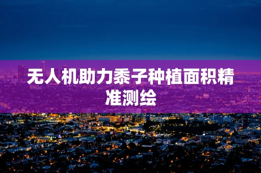 无人机助力黍子种植面积精准测绘