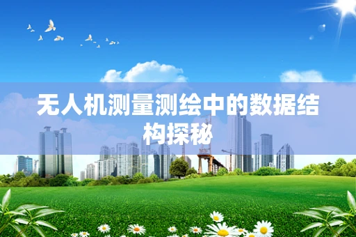 无人机测量测绘中的数据结构探秘