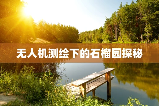 无人机测绘下的石榴园探秘