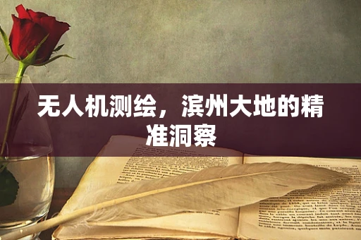 无人机测绘，滨州大地的精准洞察