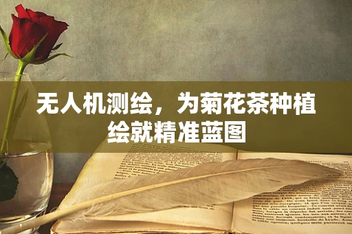 无人机测绘，为菊花茶种植绘就精准蓝图