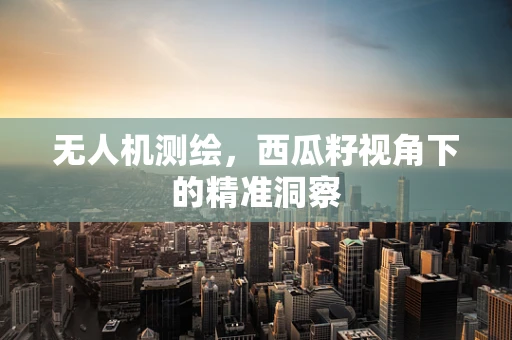 无人机测绘，西瓜籽视角下的精准洞察